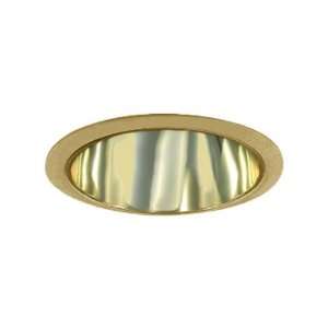   Light, Specular Reflector, All Polished Brass Finish
