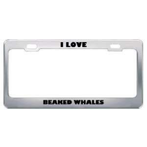  I Love Beaked Whales Animals Metal License Plate Frame Tag 