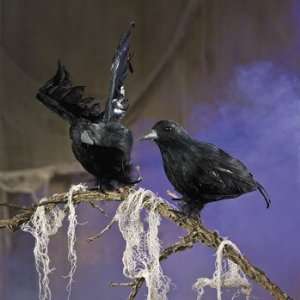  Feathered Crows   Party Decorations & Room Decor