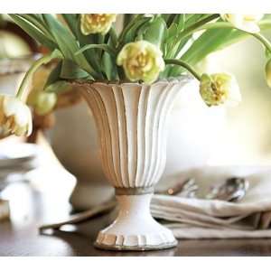  Pottery Barn Eclectic Cream Vases