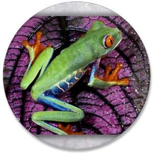    3.5 Button Red Eyed Tree Frog on Purple Leaf 