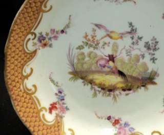   Chelsea bird Sevres style Scale Tea cup and saucer Coalp  