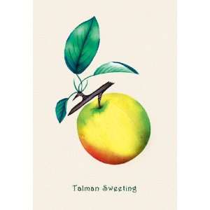  Talman Sweeting 20x30 poster