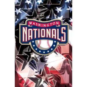 Nationals Logo   Poster (22x34)