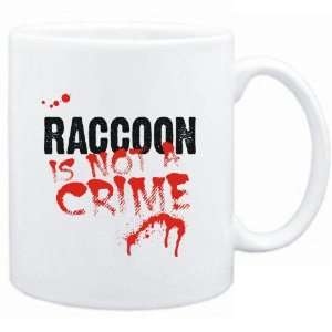    Being a  Raccoon is not a crime  Animals