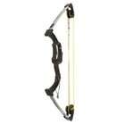 Youth Archery Bows Under 200 Dollars    Youth Archery Bows 