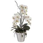 Jane Seymour Botanicals Orchid Phalaenopsis In Vase 29 White