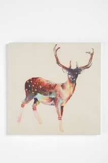     Deer Wearing Gym Socks by Charmaine Olivia Wall Art   16x16