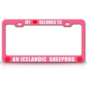  MY HEART BELONGS TO AN ICELANDIC SHEEPDOG Dog Pet Steel 