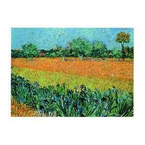    Vincent Van Gogh   View Of Arles With Irises
