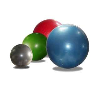  Wacces® Fitness and Exercise Ball