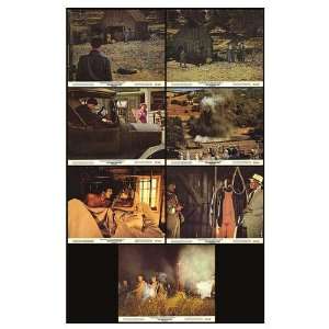  Moonshine War Original Movie Poster, 10 x 8 (1970)