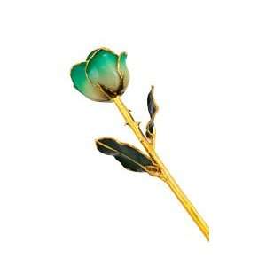    Turquoise & White Gold Dipped Valentines Day Rose