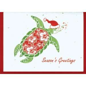  Grow A Note® Holiday Hibiscus Turtle Card 4 pack Health 