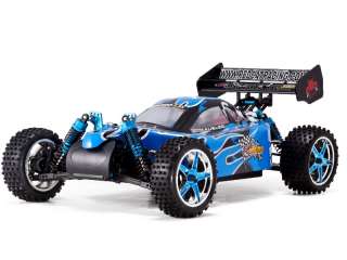   Pro RC Brushless Racing Buggy RTR w/ 2.4Ghz Remote Control Upgrade