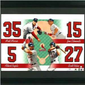  MLB Team Jersey Numbers Collection St. Louis Cardinals 