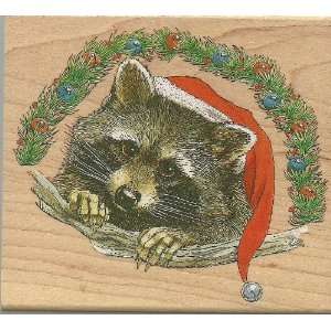   Stampa Rosa ~ Raccoon In Santa ~ Rubber Stamp Arts, Crafts & Sewing