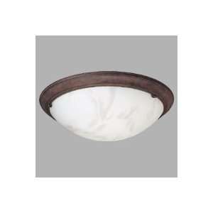   Eclipse Large Lamp Fixture With Electronic Ballast