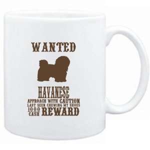 Mug White  Wanted Havanese   $1000 Cash Reward  Dogs  