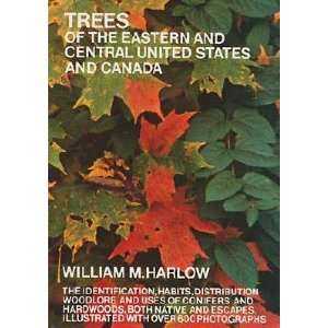   THE EASTERN & CENTRAL] [Paperback] William M.(Author) Harlow Books