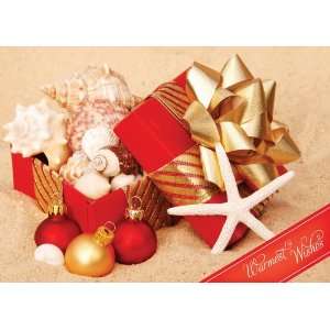  Gift Of Sea Shells Holiday Cards