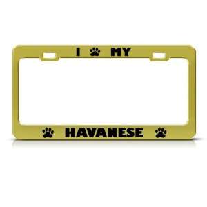 Havanese Dog Animal Metal license plate frame Tag Holder
