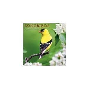  Songbirds of North America 2010 Wall Calendar Office 