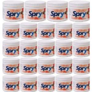  Spry 100ct Cinnamon Xylitol Gum 24 Pack 