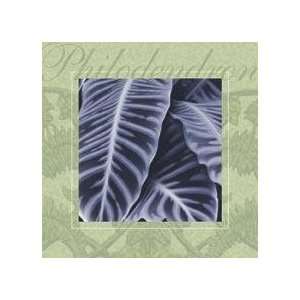  Dennis Dunton Philodendron 8x8 Poster Print