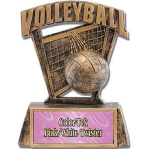  Prosport 6 Custom Volleyball Resin Trophies PINK/WHITE 