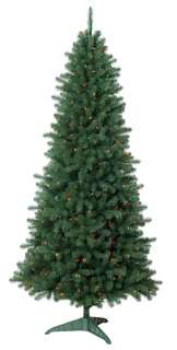 FT COLORADO PINE CHRISTMAS TREE with TRADITONAL MULTI COLORED LIGHTS 