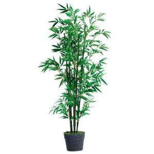 Home Decorators Collection Bamboo Topiary 3235040910 