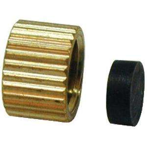   in. Brass Stop and Waste Valve Drain Cap 888 352 