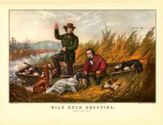 wild duck shooting a good day s sport 1854 artist a f tait original 