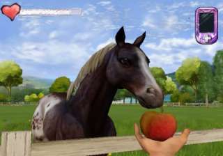 allen bewundert werdet schmuecke dein pferd individuell nach deinem 