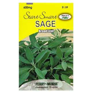 Ferry Morse Sage Broad Leaf Seed 8097  