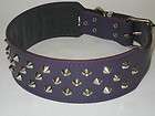 STAFFORDSHIRE BULL TERRIER, STAFFY LEATHER DOG COLLAR. WITH STUDS 