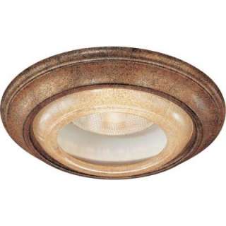 Hampton Bay Autumn Harvest Gold Trim For 6 in. Recessed Can 29011 at 