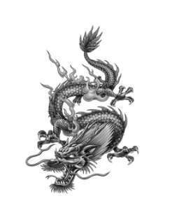 dragon tattoo when done by a skilled artist can be a dynamic piece 