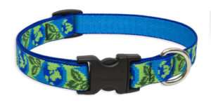 ANY SIZE   LUPINE   Adjustable DOG COLLAR   EARTH DAY  