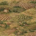Italy Italian Tuscan Countryside Grapes Vineyards PrePasted Wallpaper 