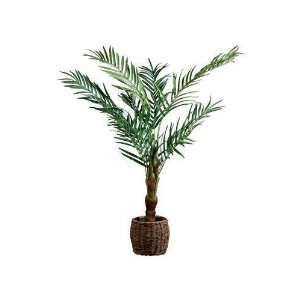  63h Areca Palm Topiary