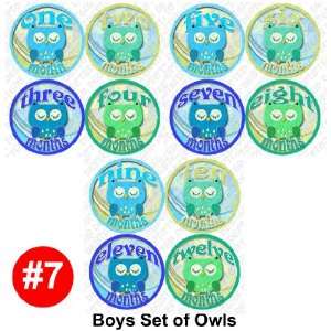 BOYS OWLS Baby Month Onesie Stickers Baby Shower Gift Photo Shower 