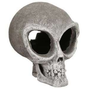    Top Quality Resin Ornament   Alien Skull   Small