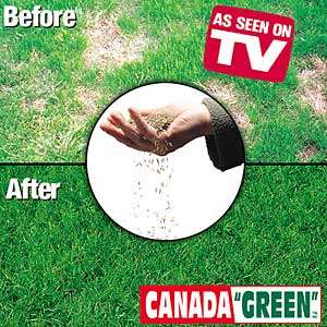 Canada Green Grass Seed 4 lb Bag   For Perfect Lawn New  