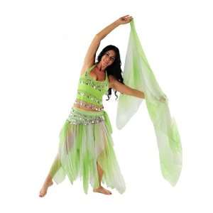 Belly Dance Chiffon Skirt Top Veil & Hip Scarf Costume Set  Petaled 