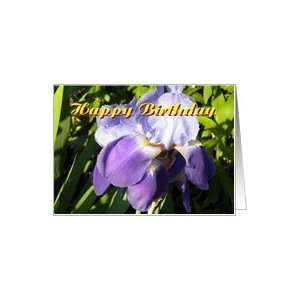  Neighbor Happy Birthday Big Purple Iris Card Health 