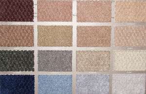 Area Rugs Plush PinDot Carpet W/Binding Multi Colors #2  