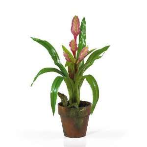  Potted Sword Bromeliad Silk Flower Arrangement