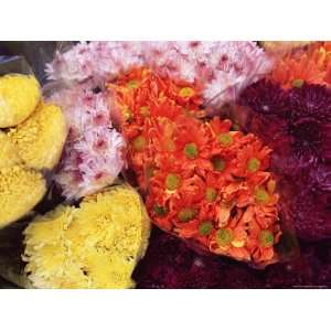 Bunches of Chrysanthemums, Flower Market, Mong Kok, Kowloon, Hong Kong 